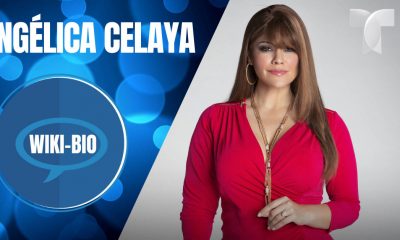 Angélica Celaya Biography